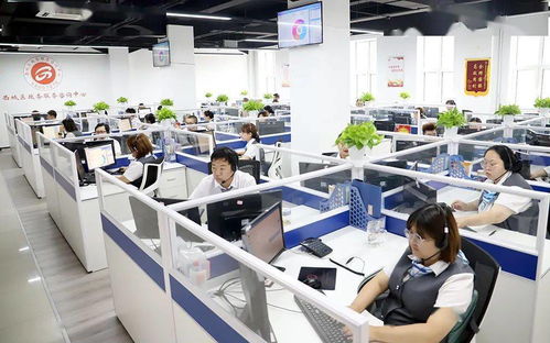 區(qū)政務(wù)服務(wù)管理局與醫(yī)保局聯(lián)動(dòng)推進(jìn)“未訴先辦” 信息咨詢服務(wù)提升群眾滿意度